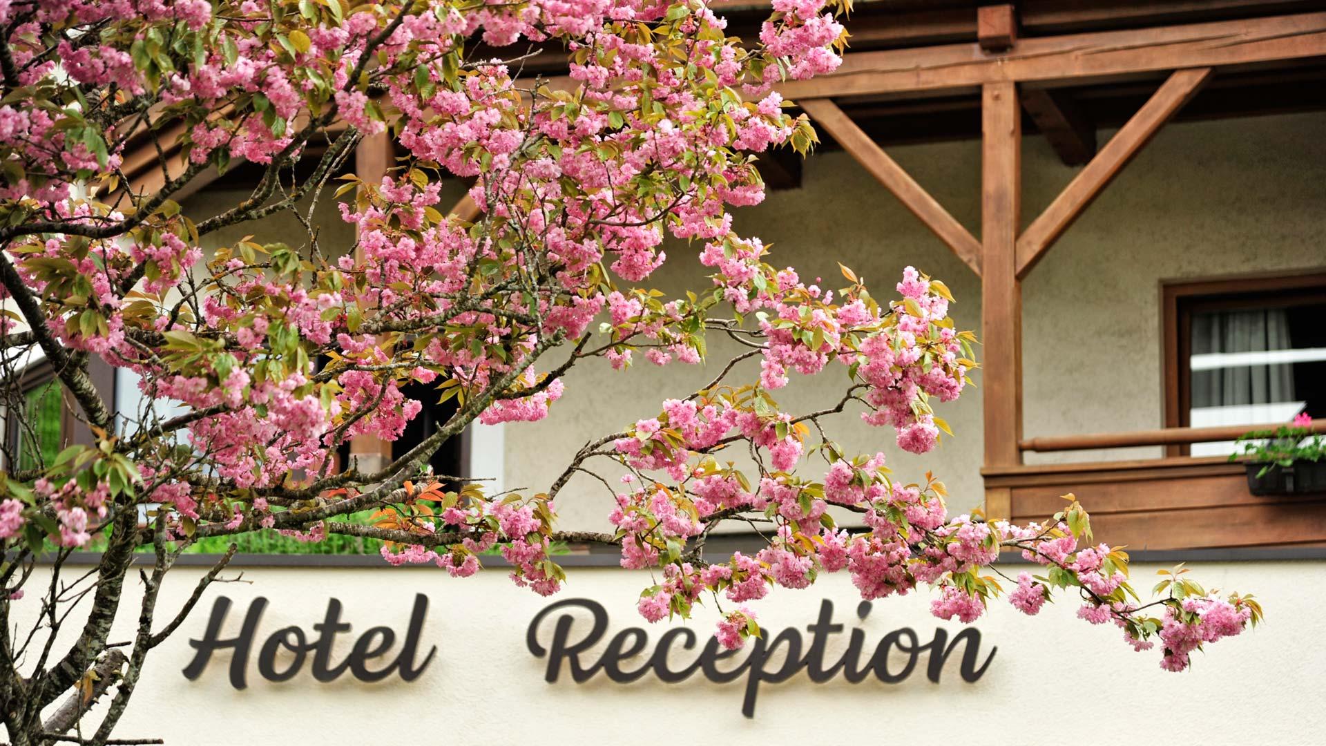Fischerwirt Am Achensee Hotel Achenkirch Esterno foto